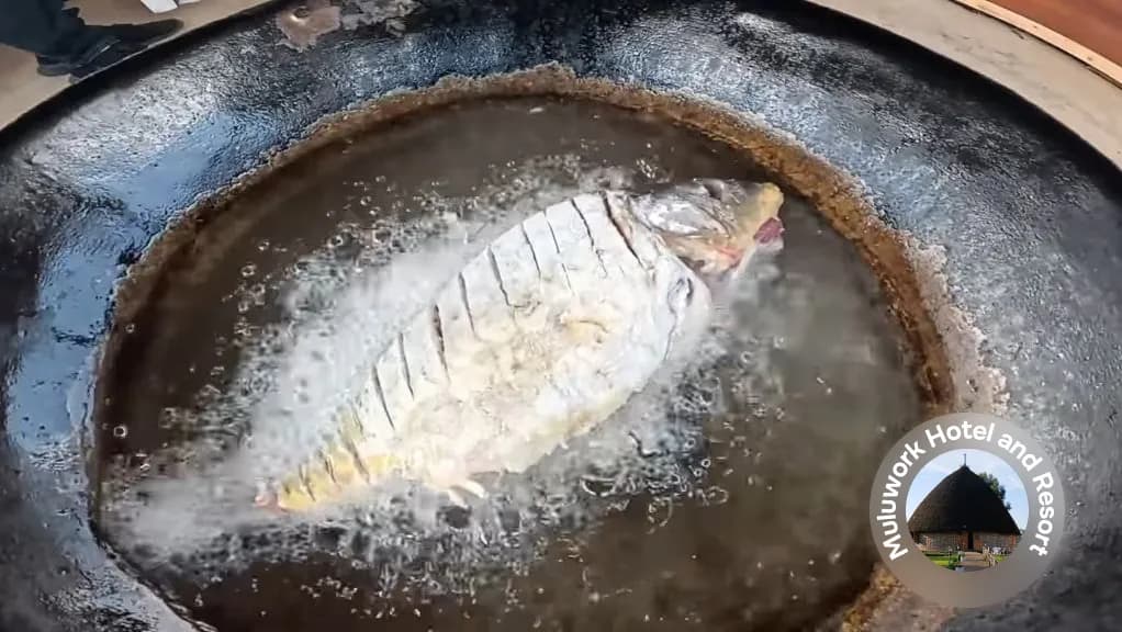 Fresh Salad