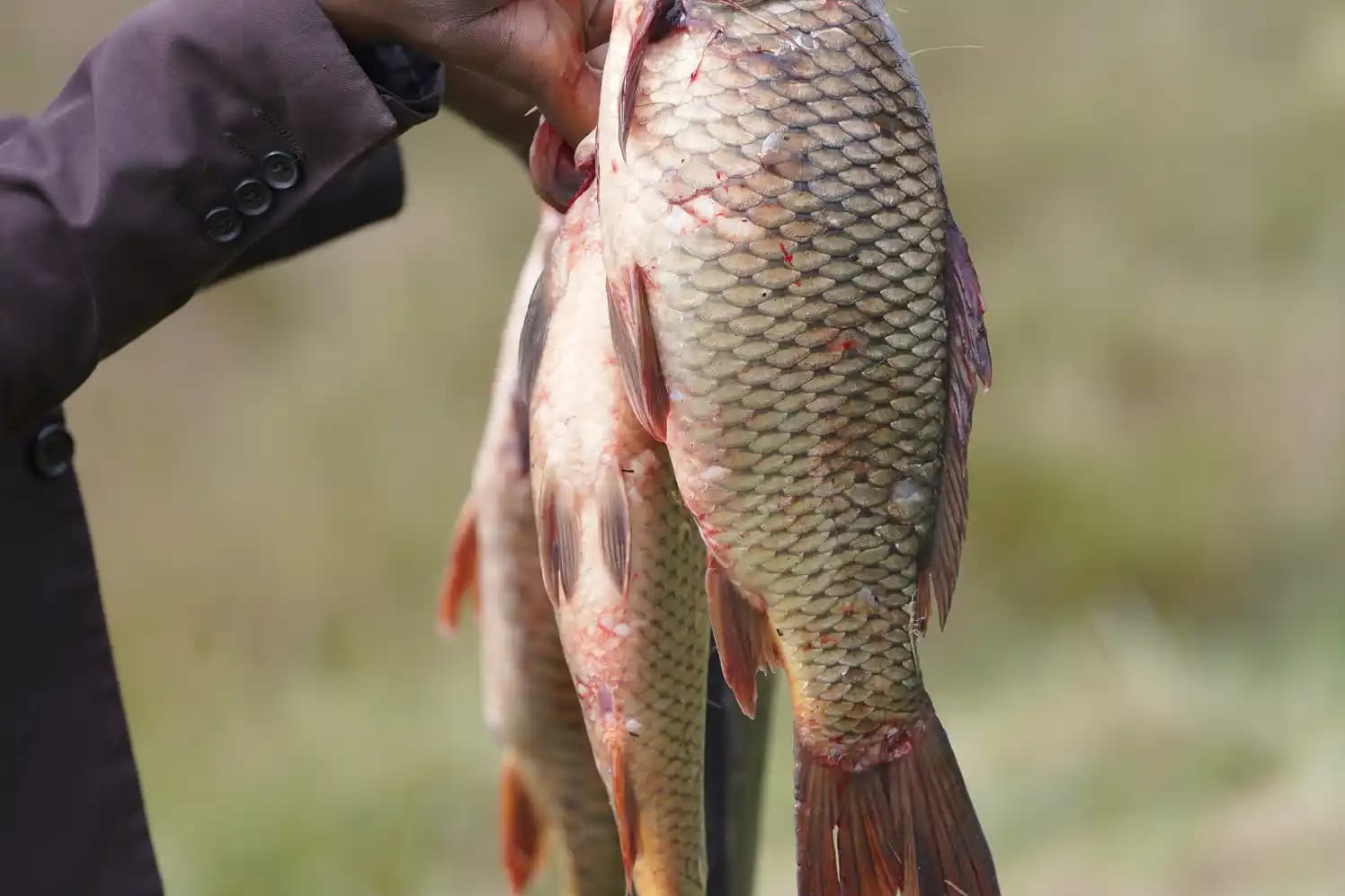 Fishing by the LakeMuluwork Resort and Hotel