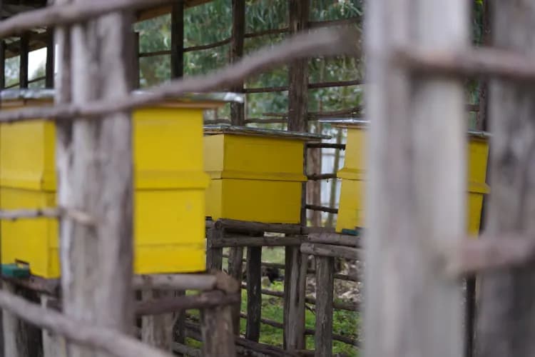 Muluwork Resort and Hotel