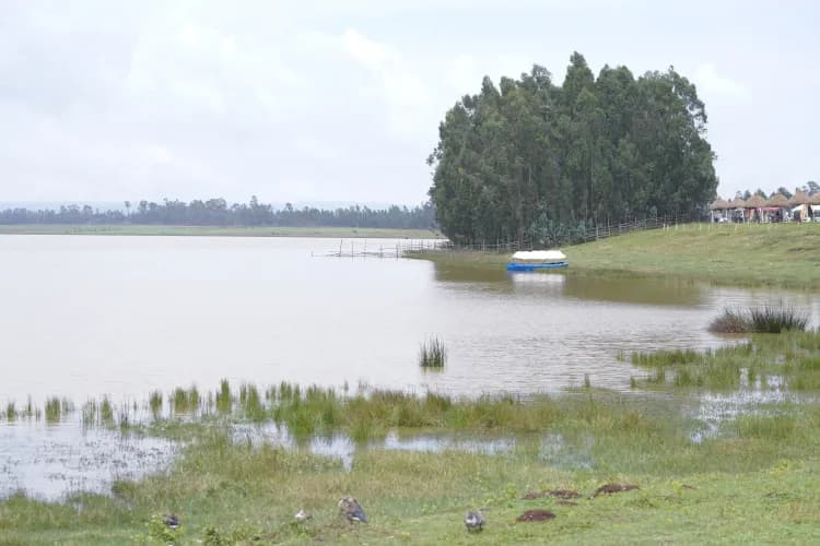 Muluwork Resort and Hotel