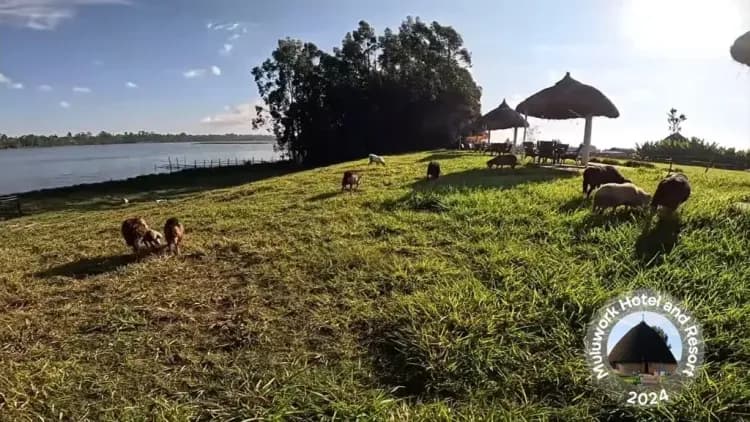 Muluwork Resort and Hotel