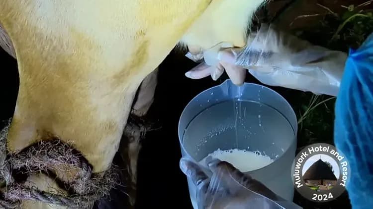 Muluwork Resort and Hotel