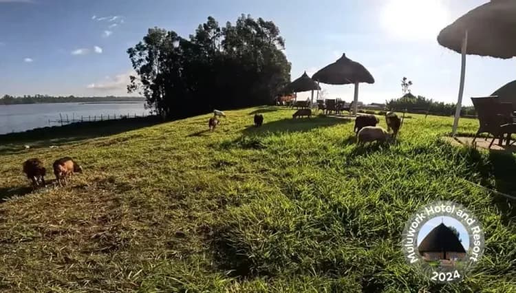 Muluwork Resort and Hotel