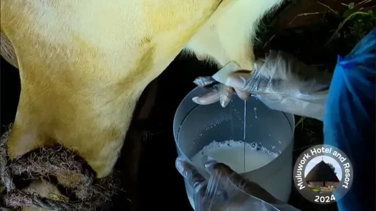 Muluwork Resort and Hotel