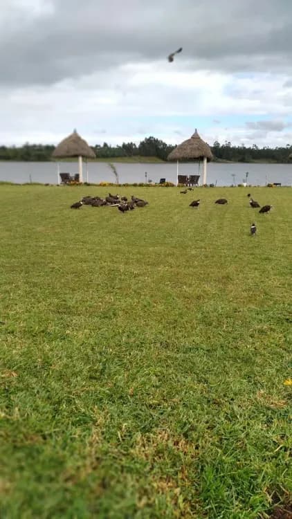 Muluwork Resort and Hotel