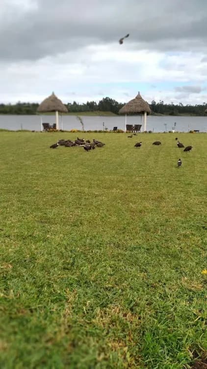 Muluwork Resort and Hotel